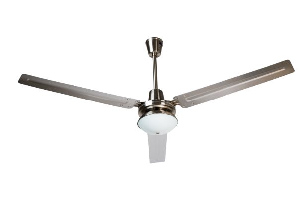 CENTAURO CON LUZ.jpg