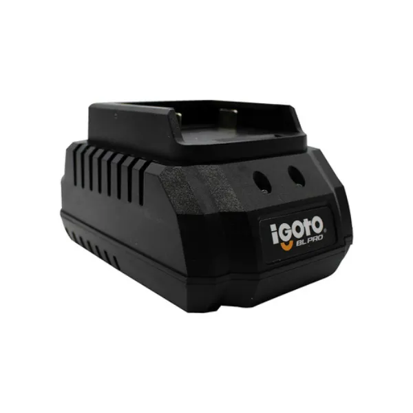 Cargador HIIOO5 20V 2A 100-240V iGotoe