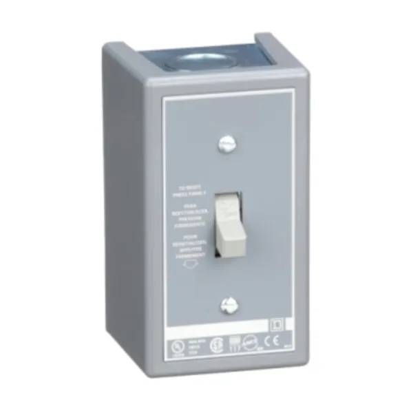 Interruptor Manual Clase 2510 2P 16A NEMA 1