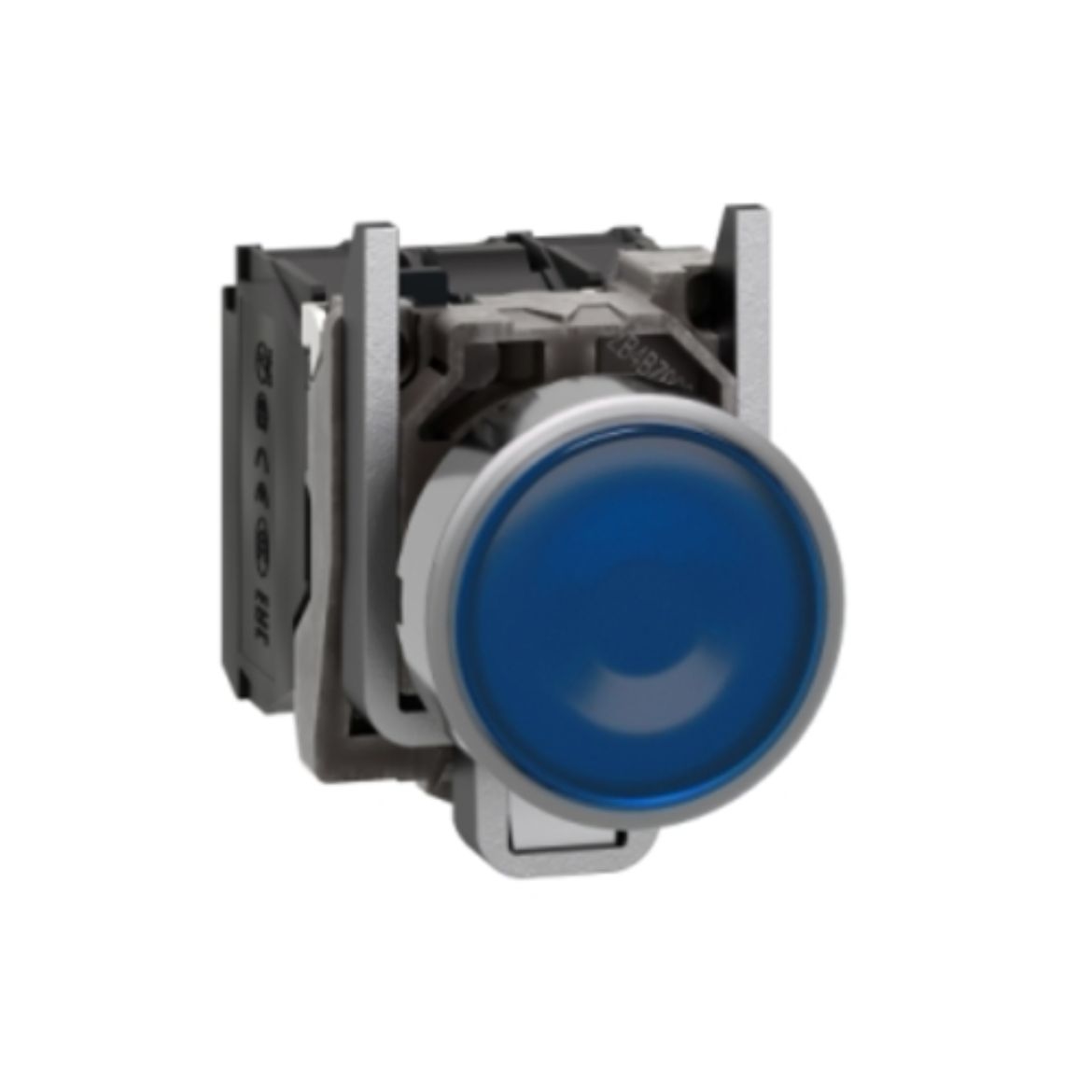 XB4BW36B5.jpg