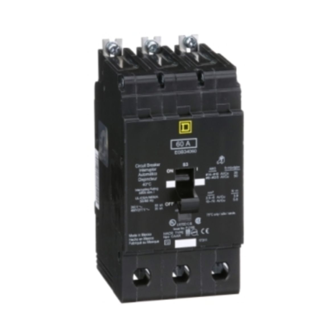 EGB34060.jpg