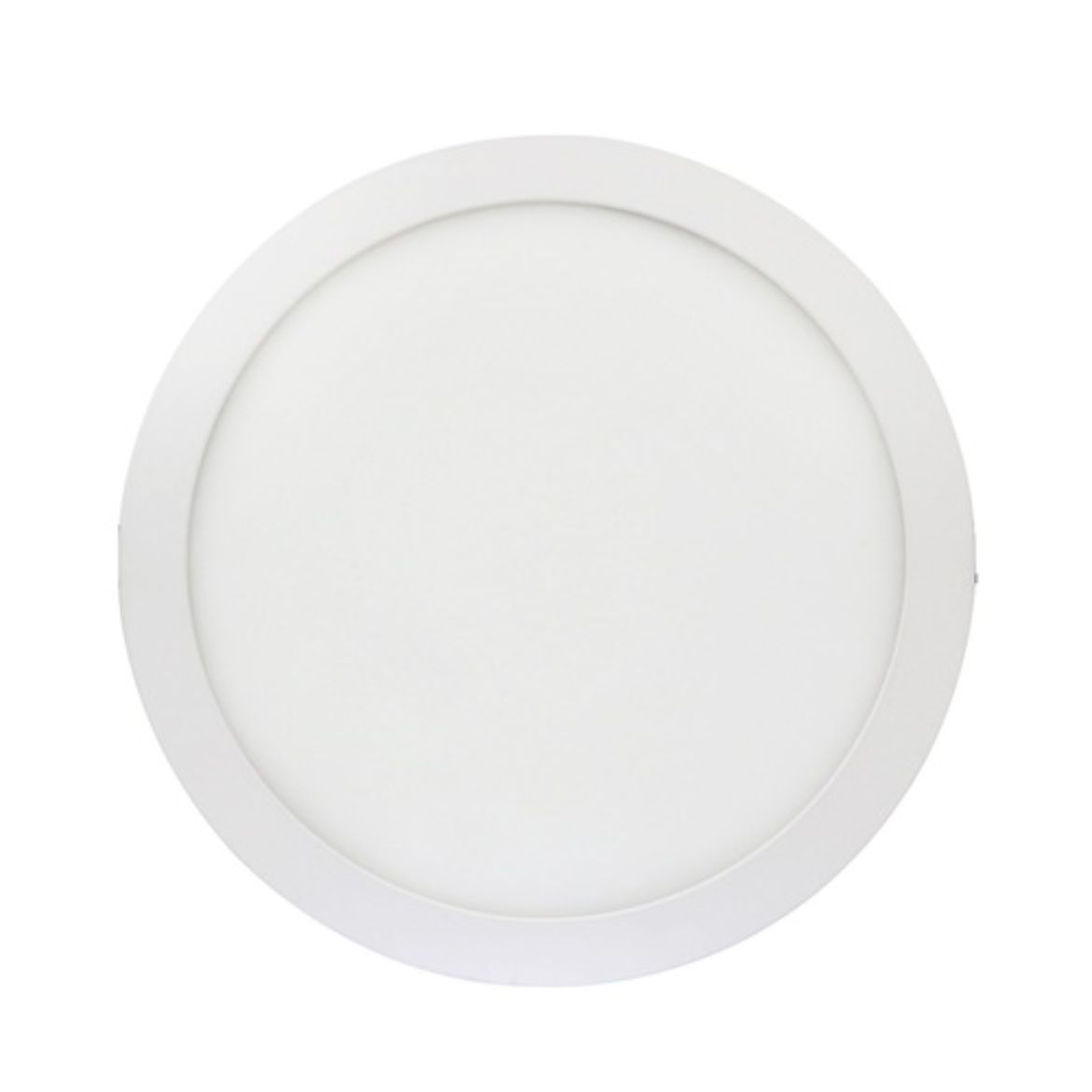 DL10115.jpg