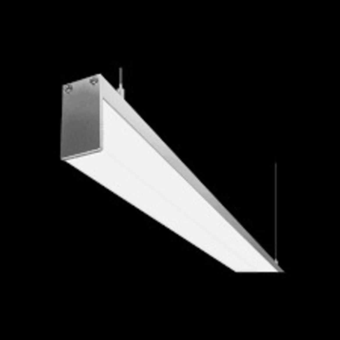 COPLE180PA1911.jpg