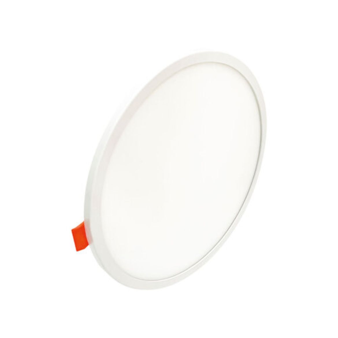 WDO-009.jpg