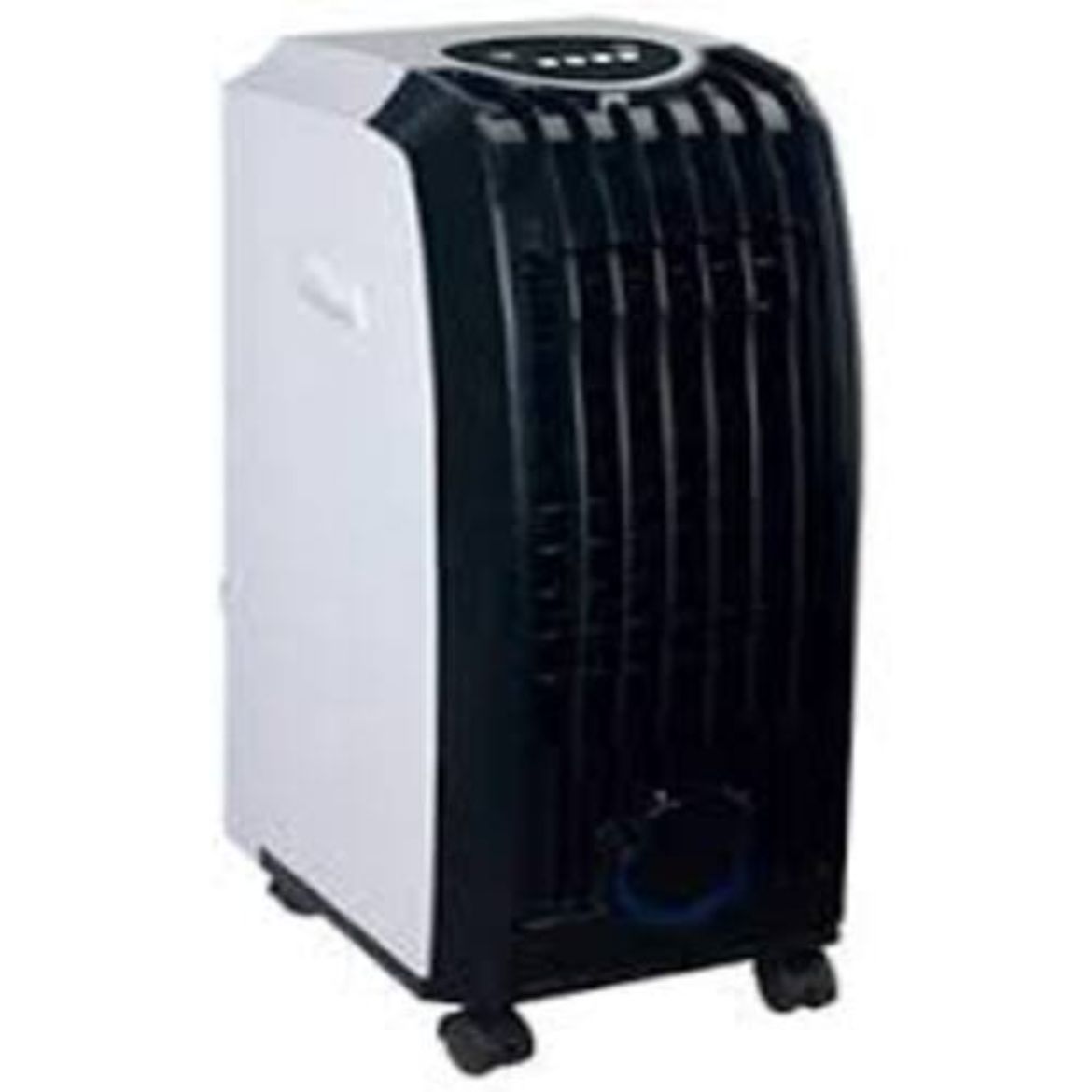 YAC-654025.jpg