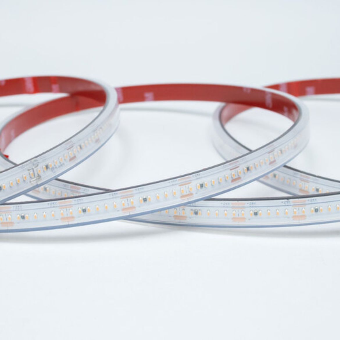 TLED-280-2110-IP66-BC.jpg