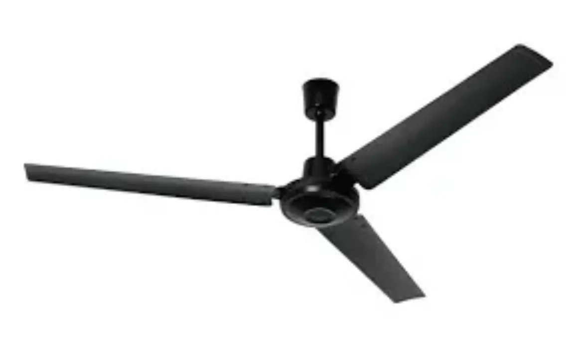 V5602-L.jpg