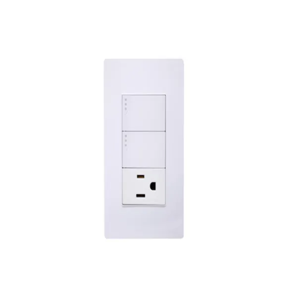 PLACA PLASTICA SPM-12010103 CON 2 INTERRUPTORES SENCILLOS Y 1 CONTAC SPM-03 MARCA SUPPLIER