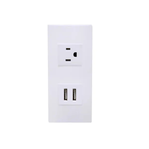 PLACA PLASTICA SPM-110309 CON 2 ENTRADAS USB Y RECEPTACULO SPM-03  MARCA SUPPLIER
